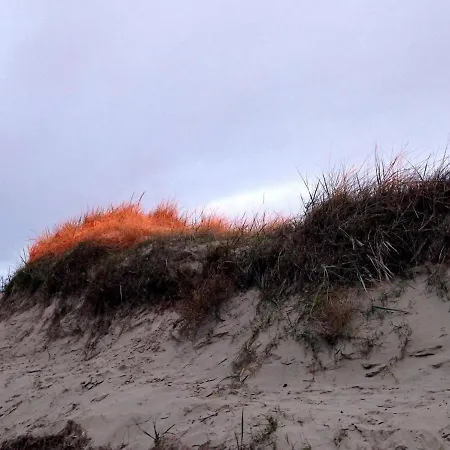 Haus-hauke-haien-whg-07 ザンクト・ペーター・オルディング